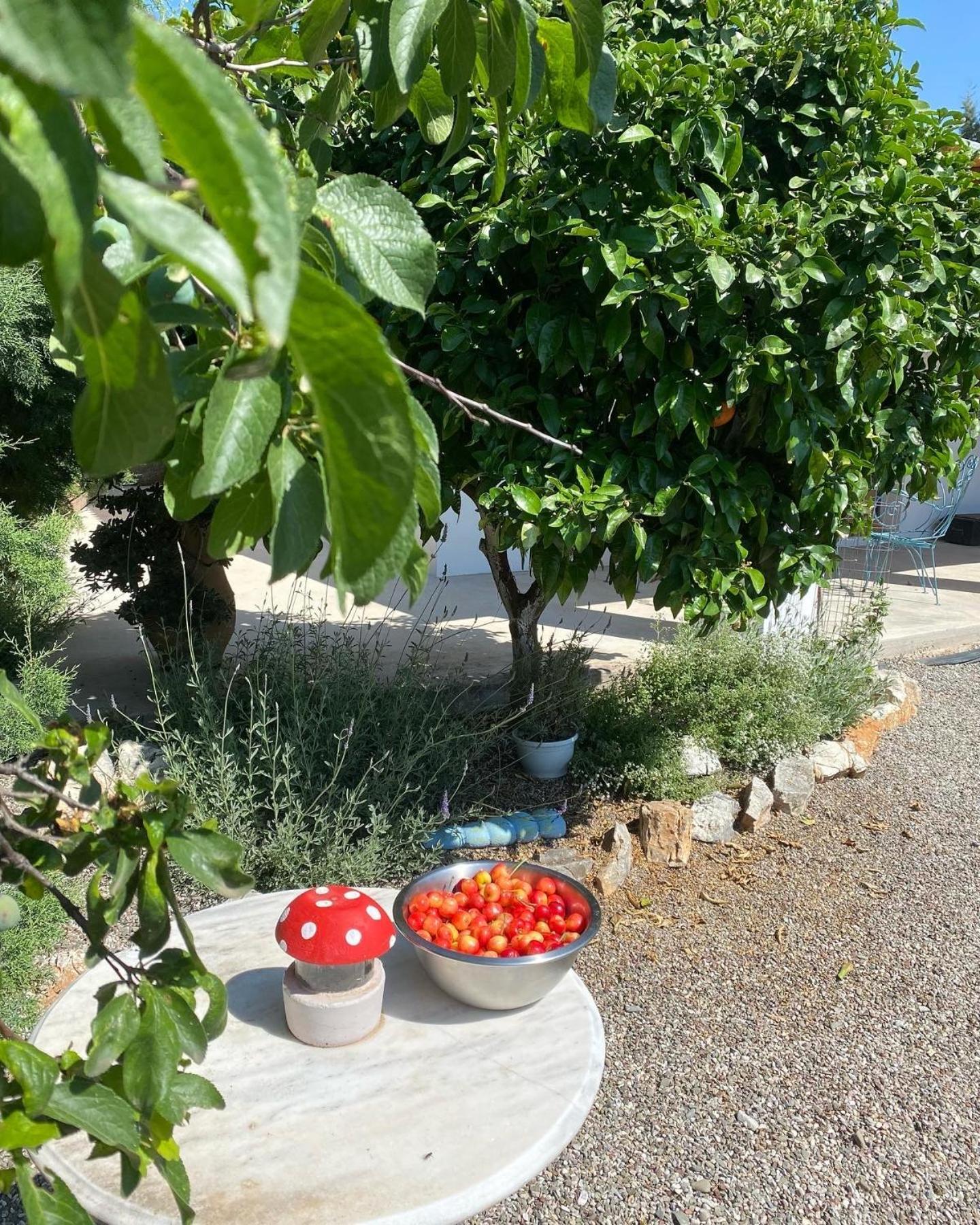 Lavender Farm House Nafpaktos Exterior photo