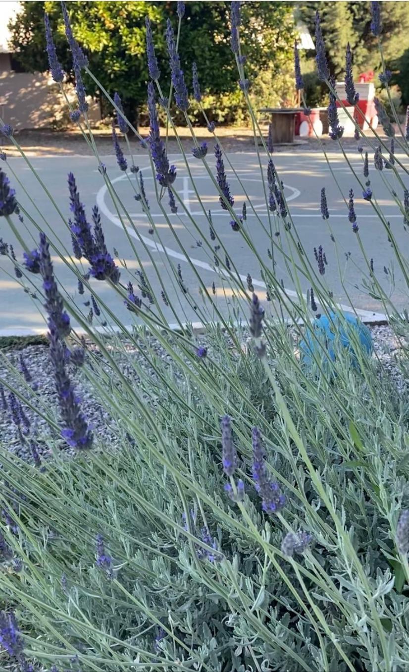 Lavender Farm House Nafpaktos Exterior photo